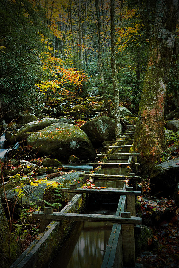 Water Flume in Autumn by the Roaring Fork Stream at Alfred Reagans Tub Mill Photograph by Randall Nyhof