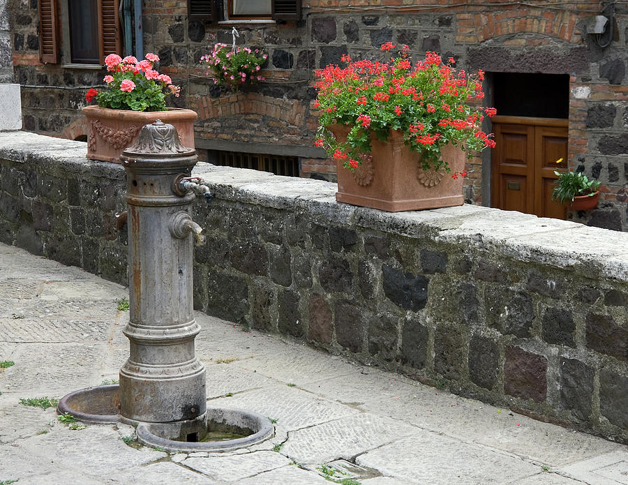 Water Fountain and Flowers Photograph by Sally Weigand