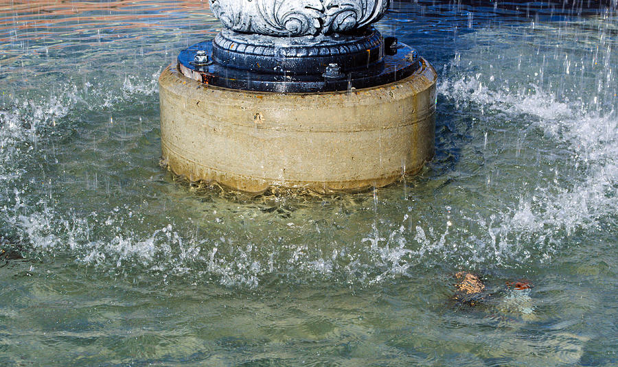 Water Fountain Splash Photograph by Tikvahs Hope