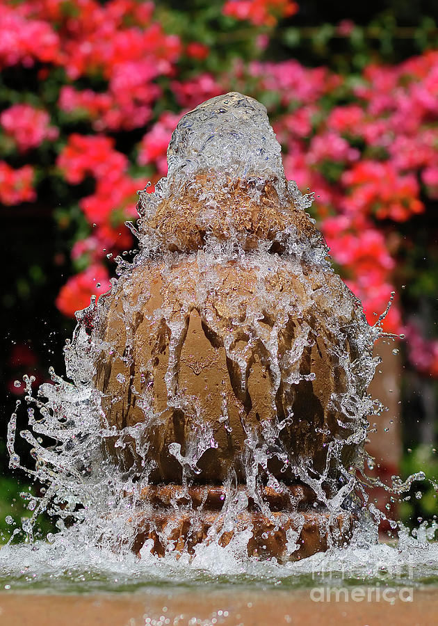 Water Fountain Photograph