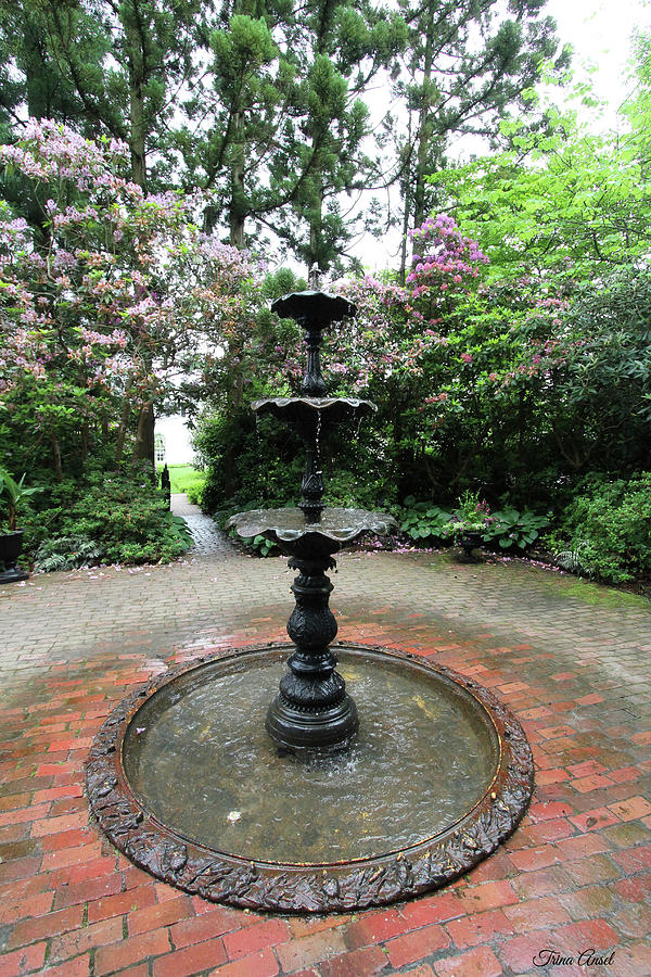 Water Fountain Photograph by Trina Ansel