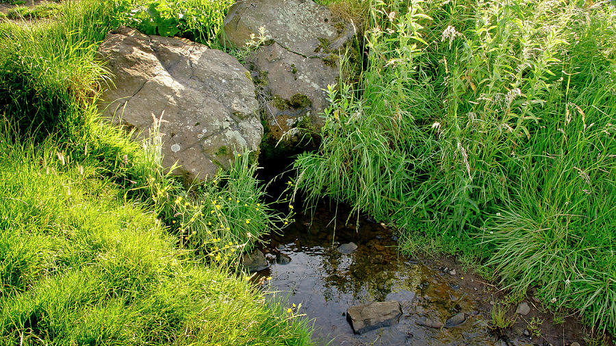 Water From Under Stones. Photograph