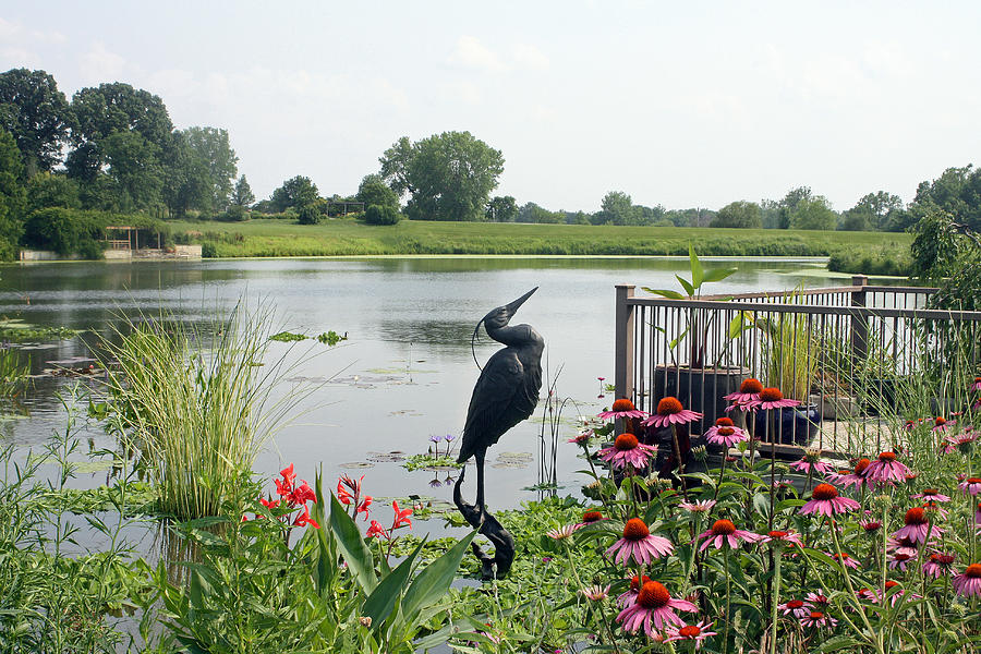 Water Garden with Crane Photograph by Ellen Tully