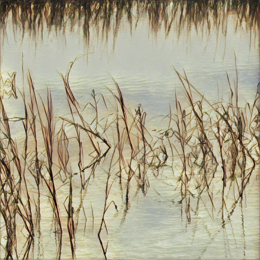 Water Grass Photograph by Robert Knight
