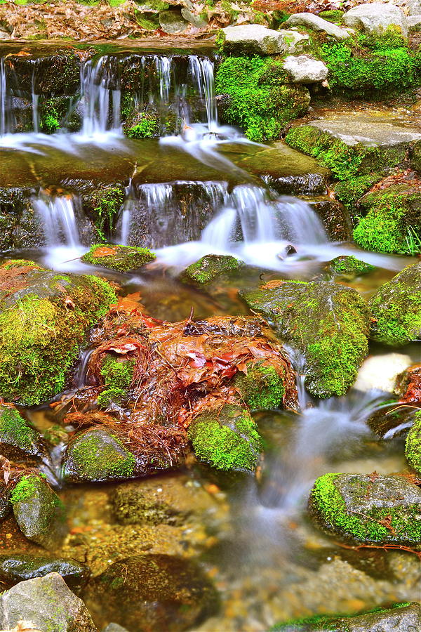 Water in Nature Photograph by Susan Wells - Fine Art America