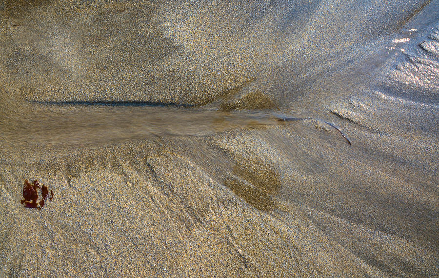 Water in Sand Photograph by Josephine Buschman