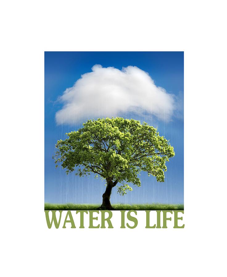 Water is Life Photograph by Mal Bray