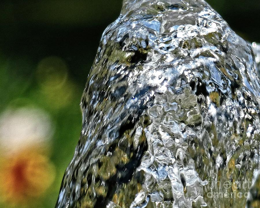 Water is the sculptor of nature IX Photograph by Humphrey Isselt