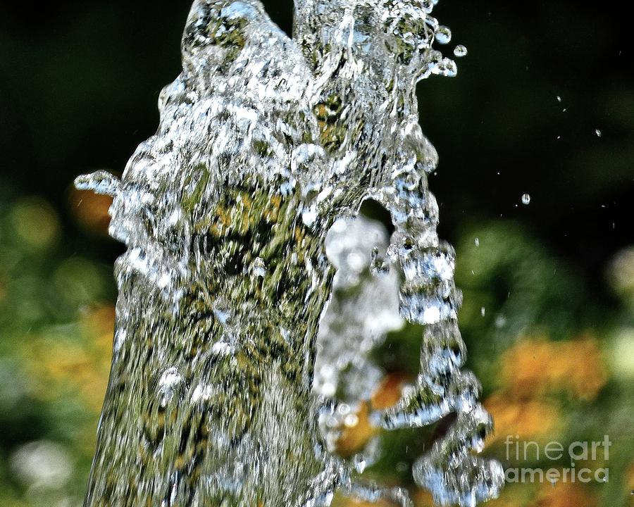 Water is the sculptor of nature XIV Photograph by Humphrey Isselt