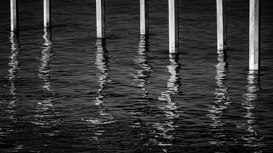 Water Legs Photograph by Joseph Smith