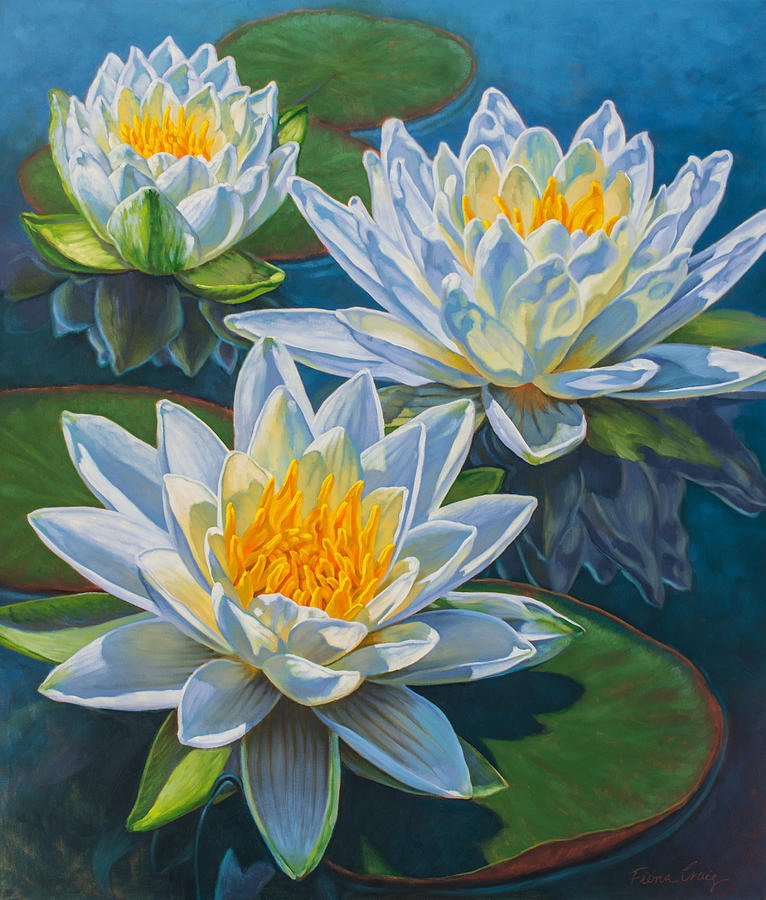 Water Lilies 12 - Fire And Ice Painting By Fiona Craig - Fine Art America