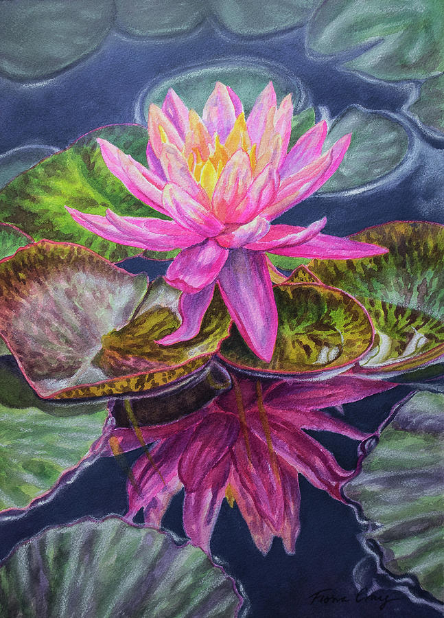 Flower Mixed Media - Water Lilies 17 Sunfire by Fiona Craig
