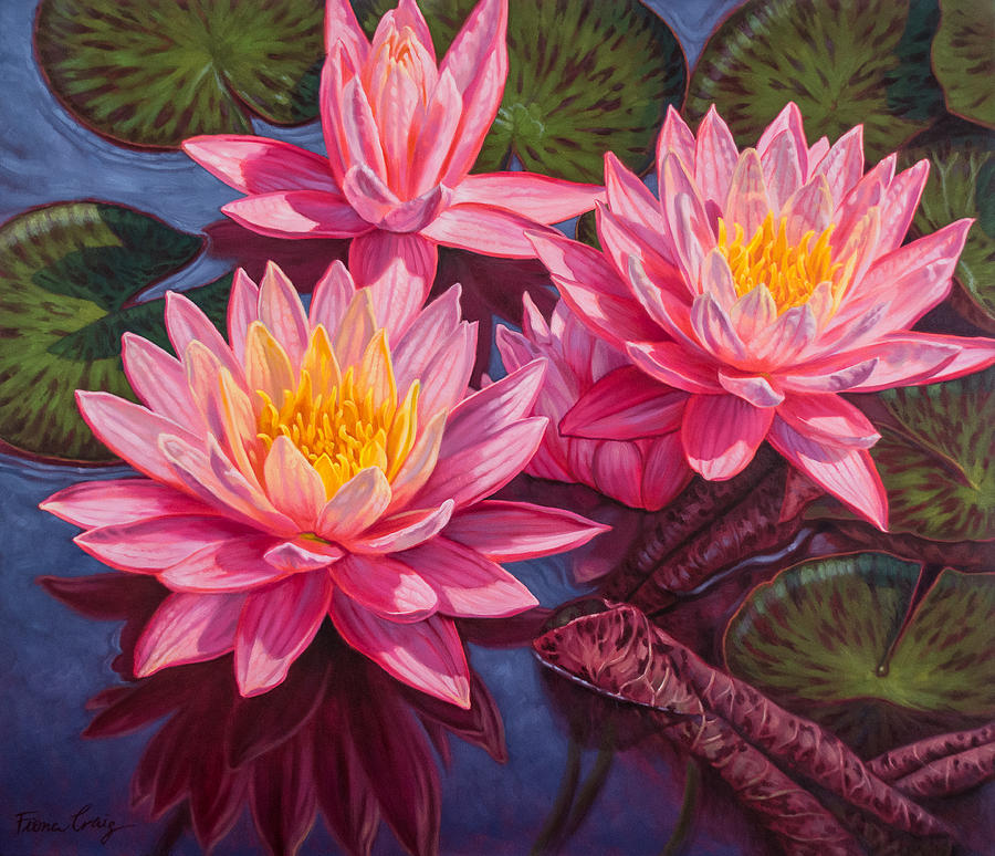 Flower Painting - Water Lilies 3 - Sunfire by Fiona Craig