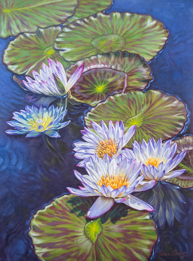 Water Lilies 4 Painting by Fiona Craig