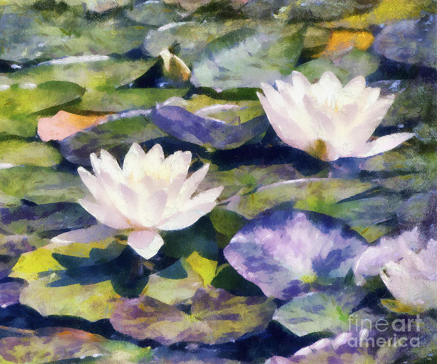 Claude Monet Photograph - Water Lilies by Betsy Foster Breen