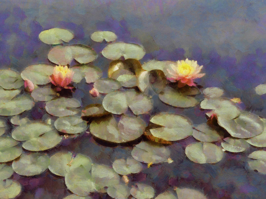 Water Lilies Impressionistic Photograph by Ann Powell