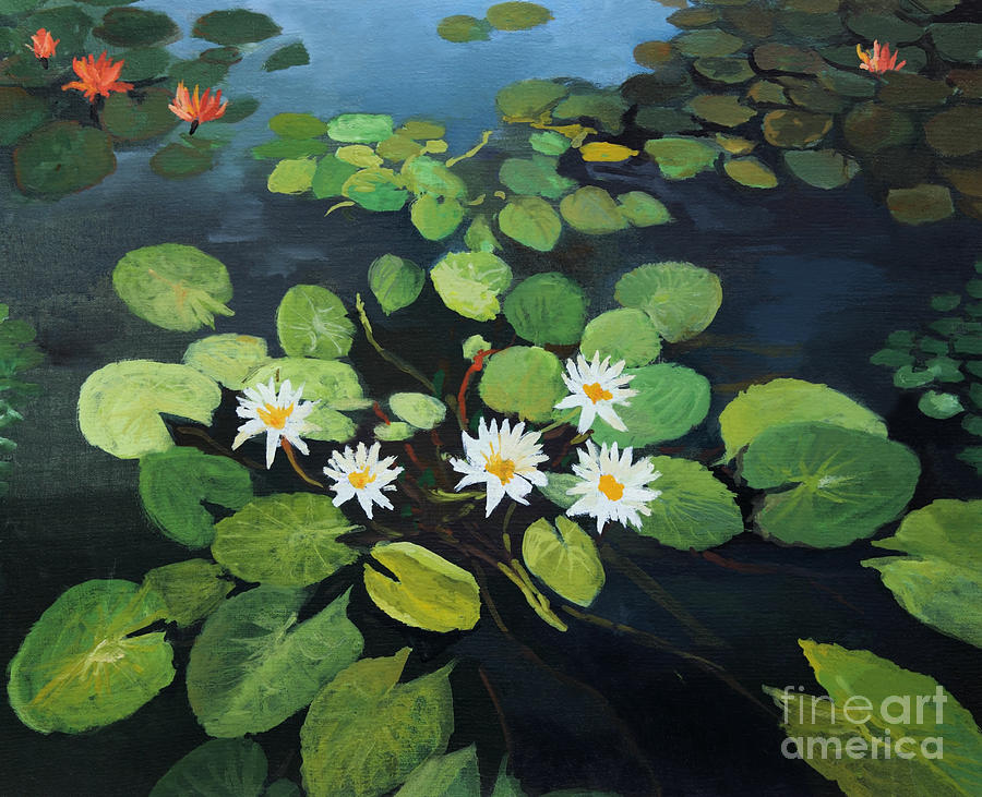 Nature Painting - Water Lilies by Kiril Stanchev