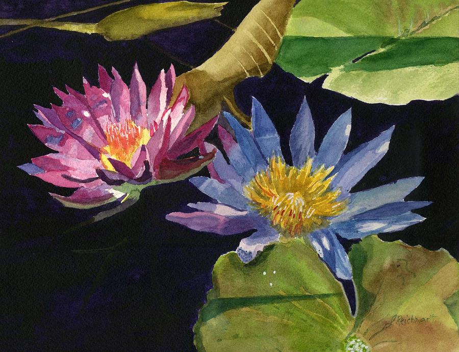 Water Lilies Painting by Lynne Reichhart