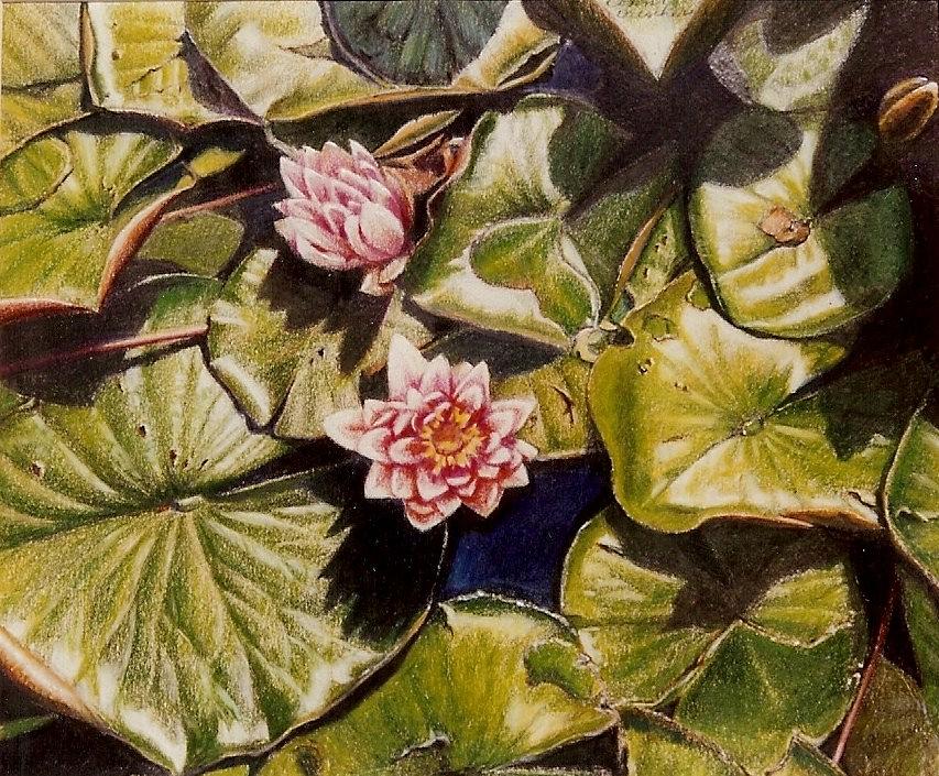 Water lilies on the Ringdijk Painting by Constance Drescher