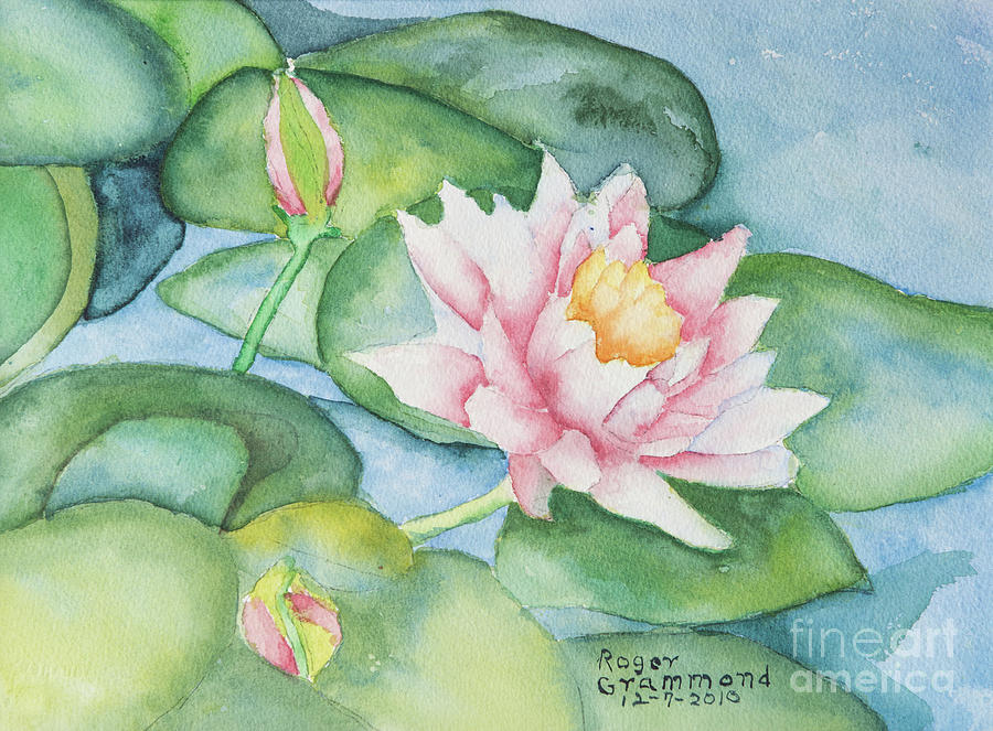 Buds Painting - Water Lilies by Roger Grammond