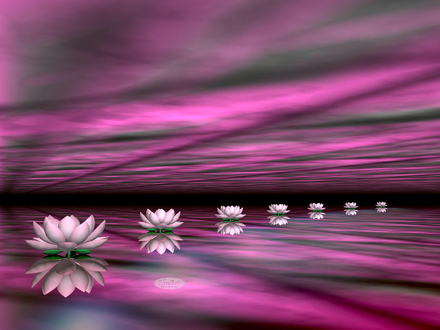 Water Lilies Steps To The Sun 3d Render Digital Art By Elenarts