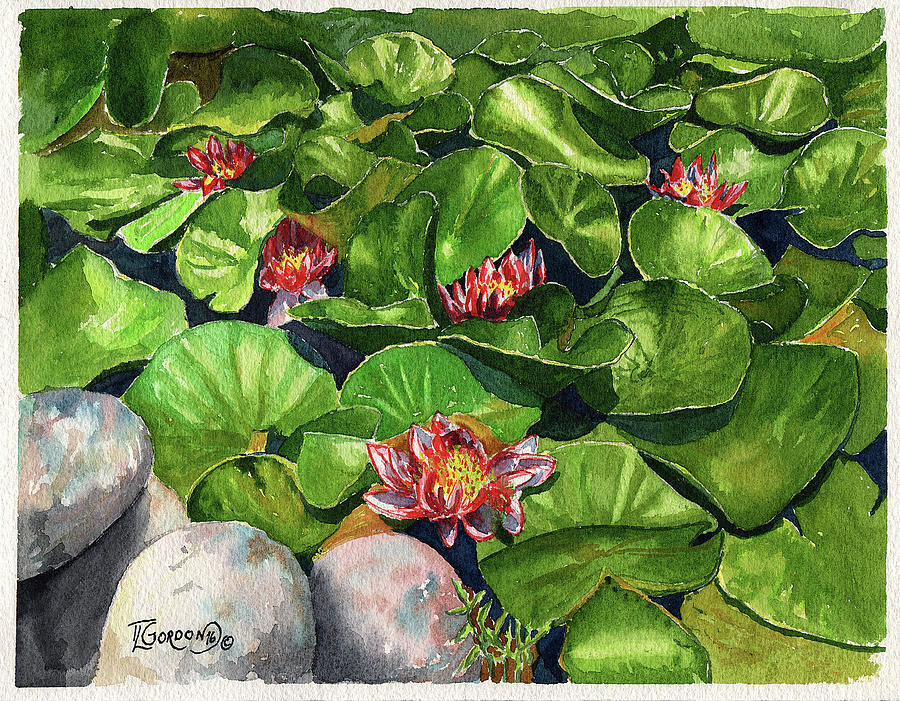 Water Lilies Painting by Timithy L Gordon