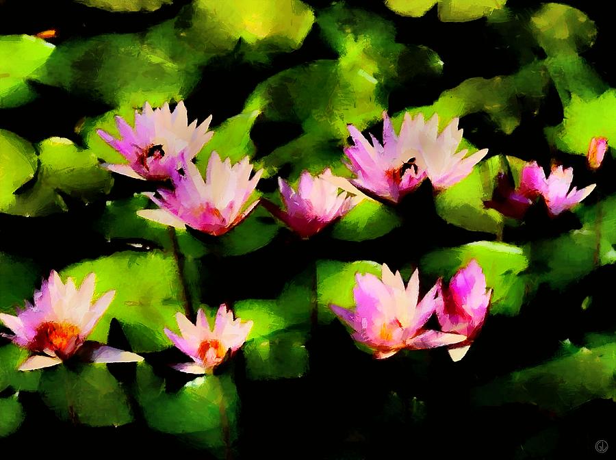 Water Lillies Digital Art by Gun Legler