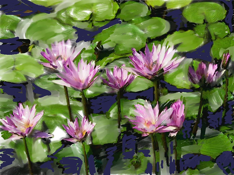 Water Lillies Digital Art by Joe Roache