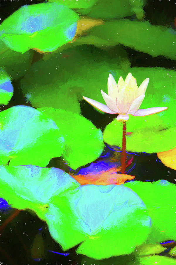 Water Lilly 3 Dow Gardens 062618 Painterly Photograph by Mary Bedy