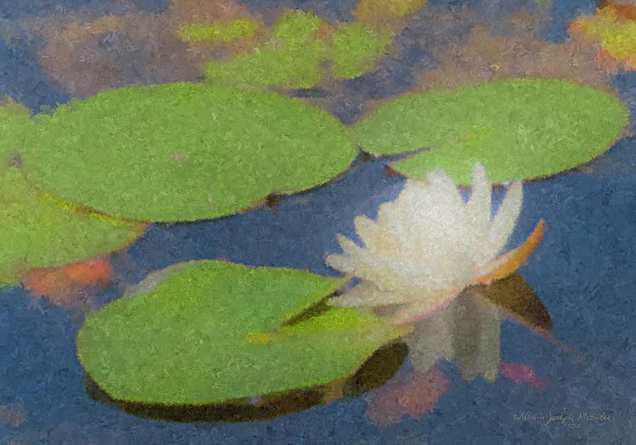 Water Lilly at Borderland Painting by Bill McEntee