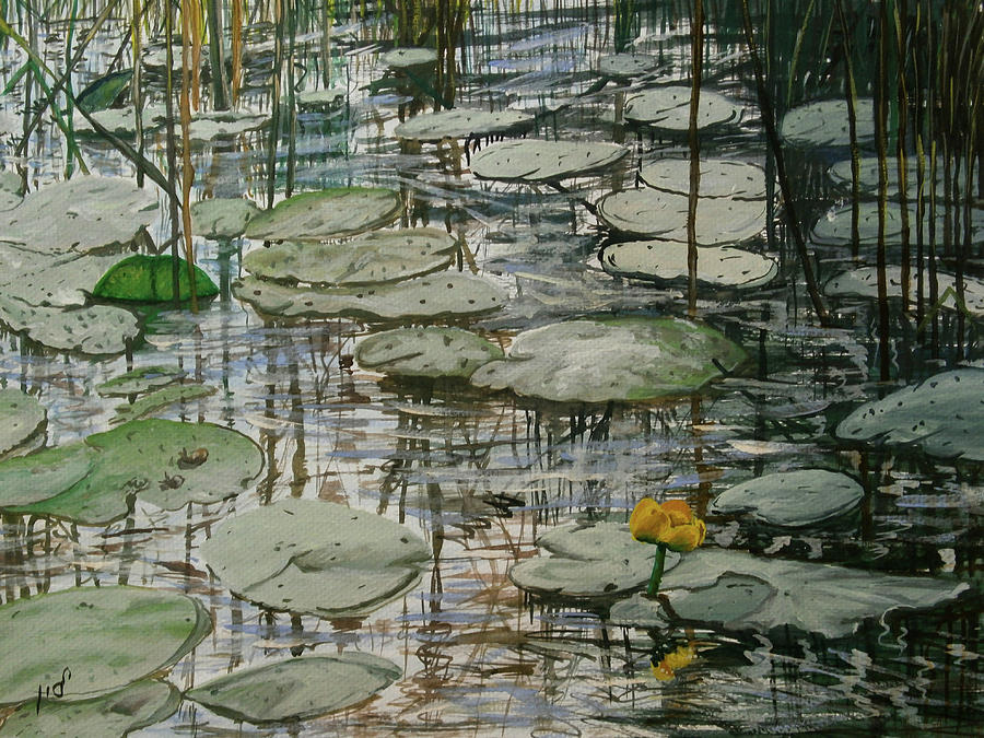 Water lilly Painting by Maria Woithofer