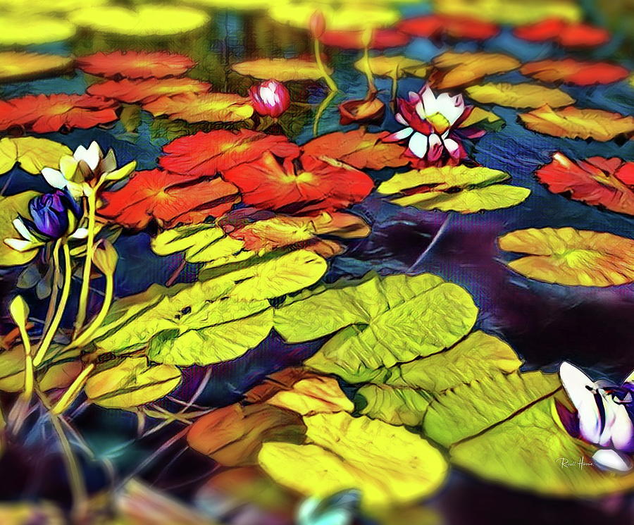 Water Lilly Pond Digital Art by Russ Harris