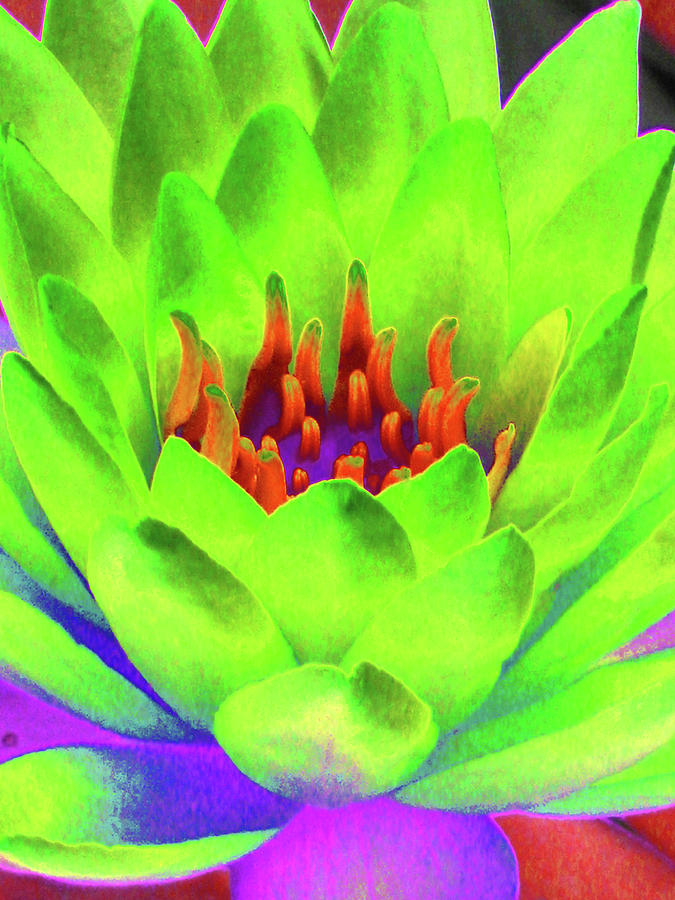 Water Lily - Blazing Green - PhotoPower 3390 Photograph by Pamela Critchlow
