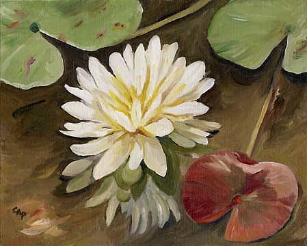 Water Lily Painting by Cheryl Pass
