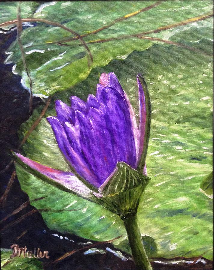 Water Lily Painting by Donna Muller