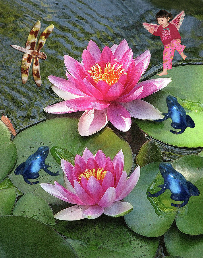 Water Lily Fantasy Photograph by Helaine Cummins