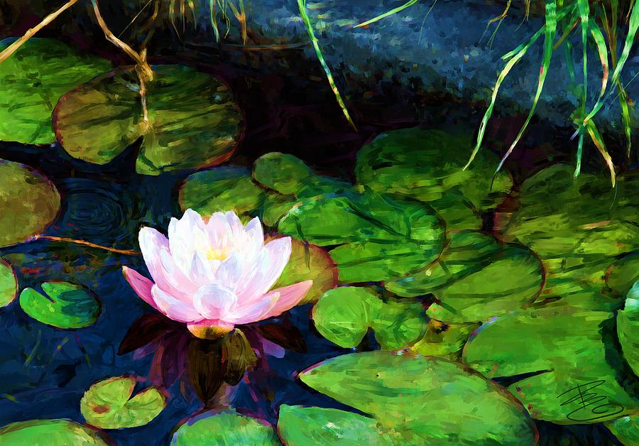 Water lily flower in pond Digital Art by Debra Baldwin