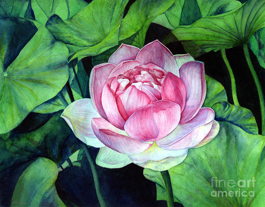 Water Lily Painting