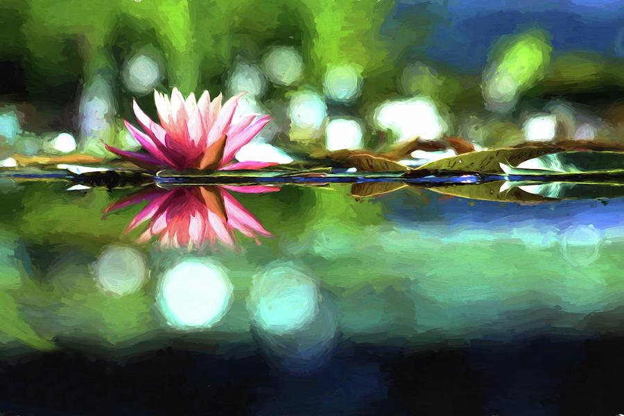 Water Lily Impression Photograph by Carol Montoya