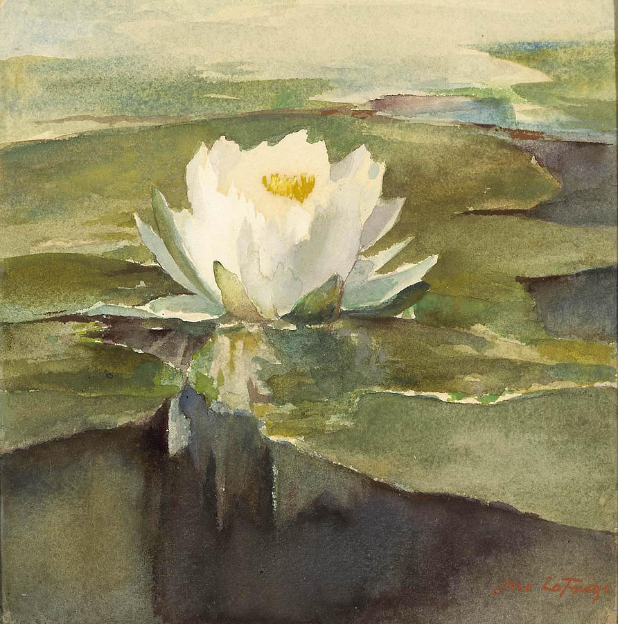 Water Lily in Sunlight Painting by Celestial Images