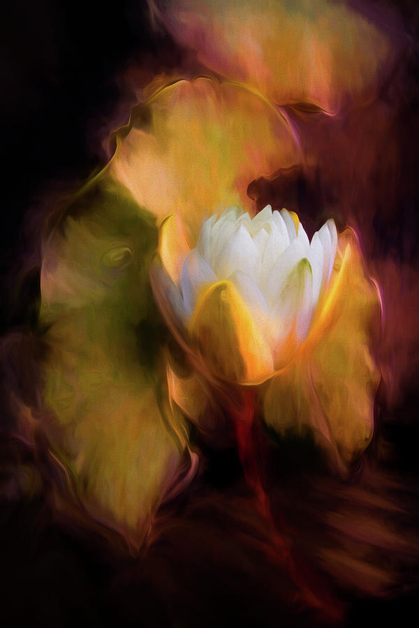 Water Lily in Warm Watercolors Photograph by Debra and Dave Vanderlaan