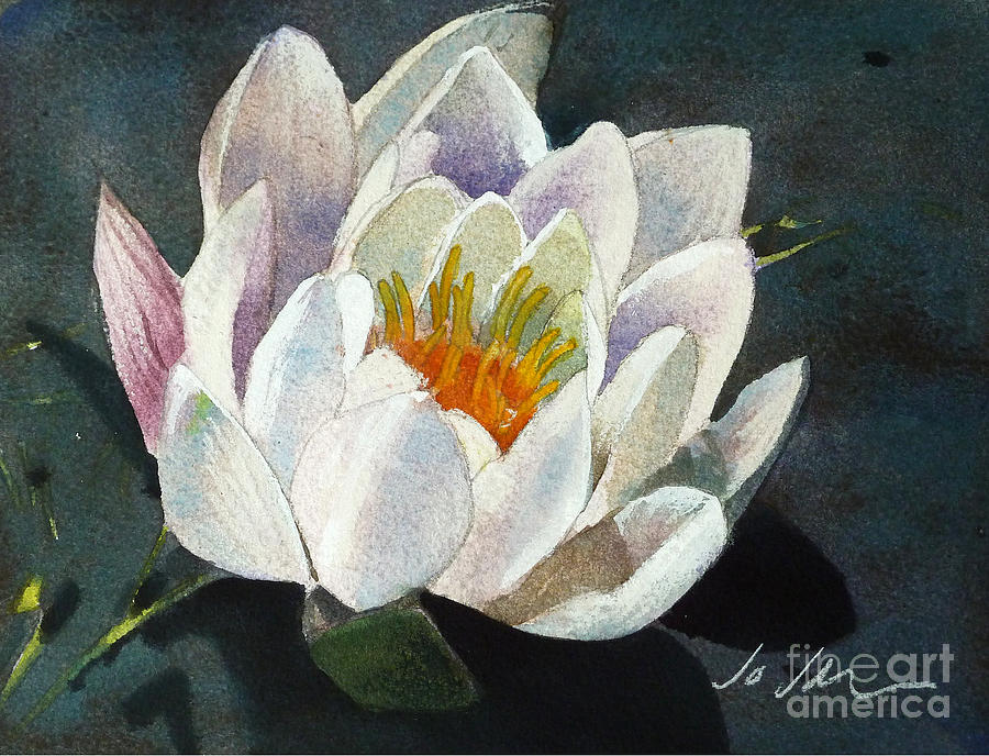 Water Lily Painting - Water Lily by Jo Johnson