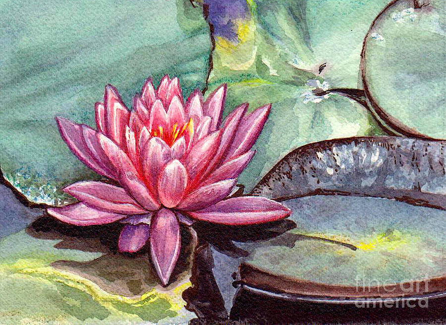 Lotus Painting - Water Lily by Larissa Prince