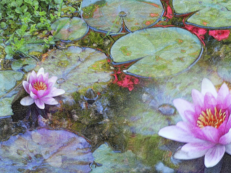 Flower Painting - Water Lily Leaves and Flowers by Faye Cummings