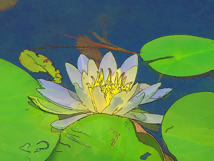 Water Lily Digital Art by Maciek Froncisz