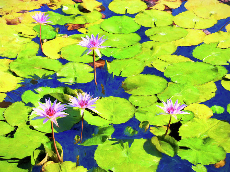 Water Lily Pond 2 Painting by Dominic Piperata