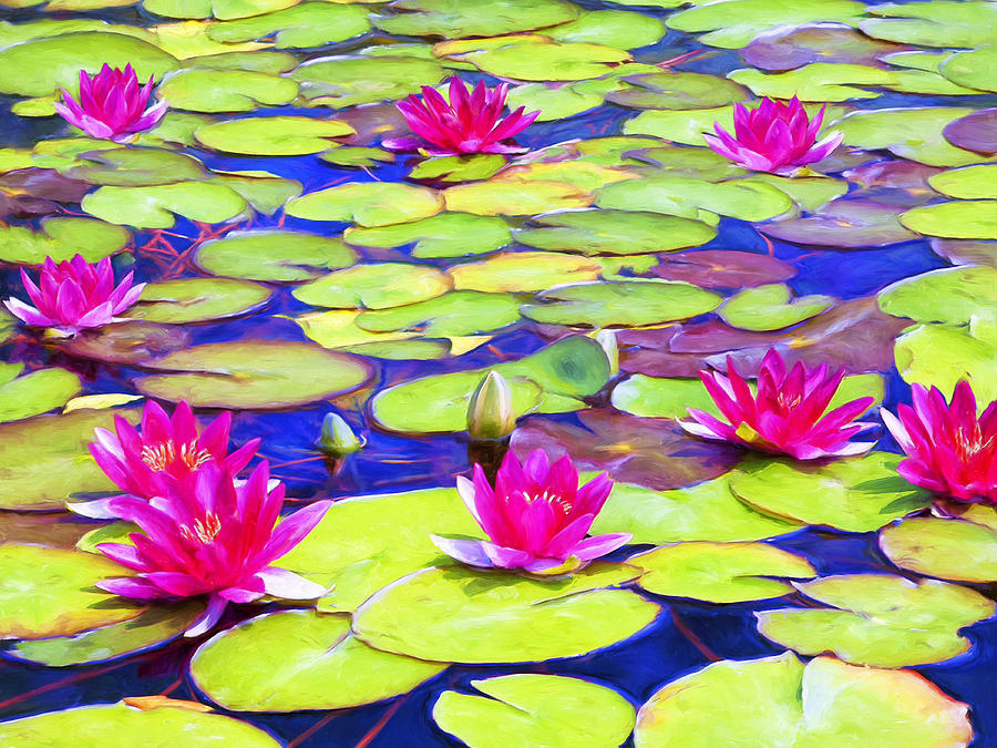 Water Lily Pond Painting by Dominic Piperata