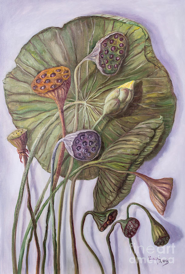 Water Lily Seed Pods Framed By a Leaf Painting by Rand Burns
