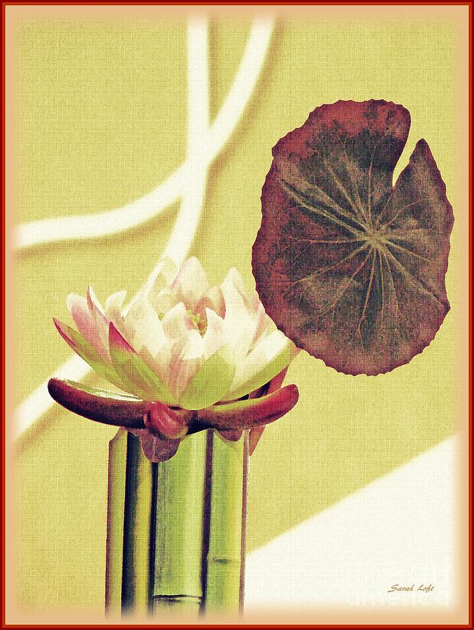Water Lily Still Life Photograph by Sarah Loft