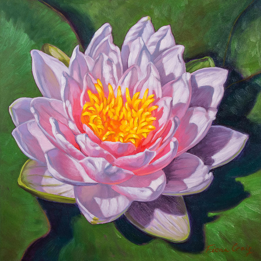 Nature Painting - Water Lily Study 1 by Fiona Craig